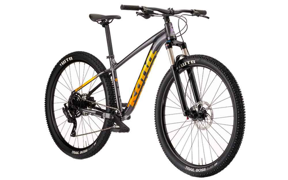 Kona-Bike-Lave-Dome-Bike-Grey